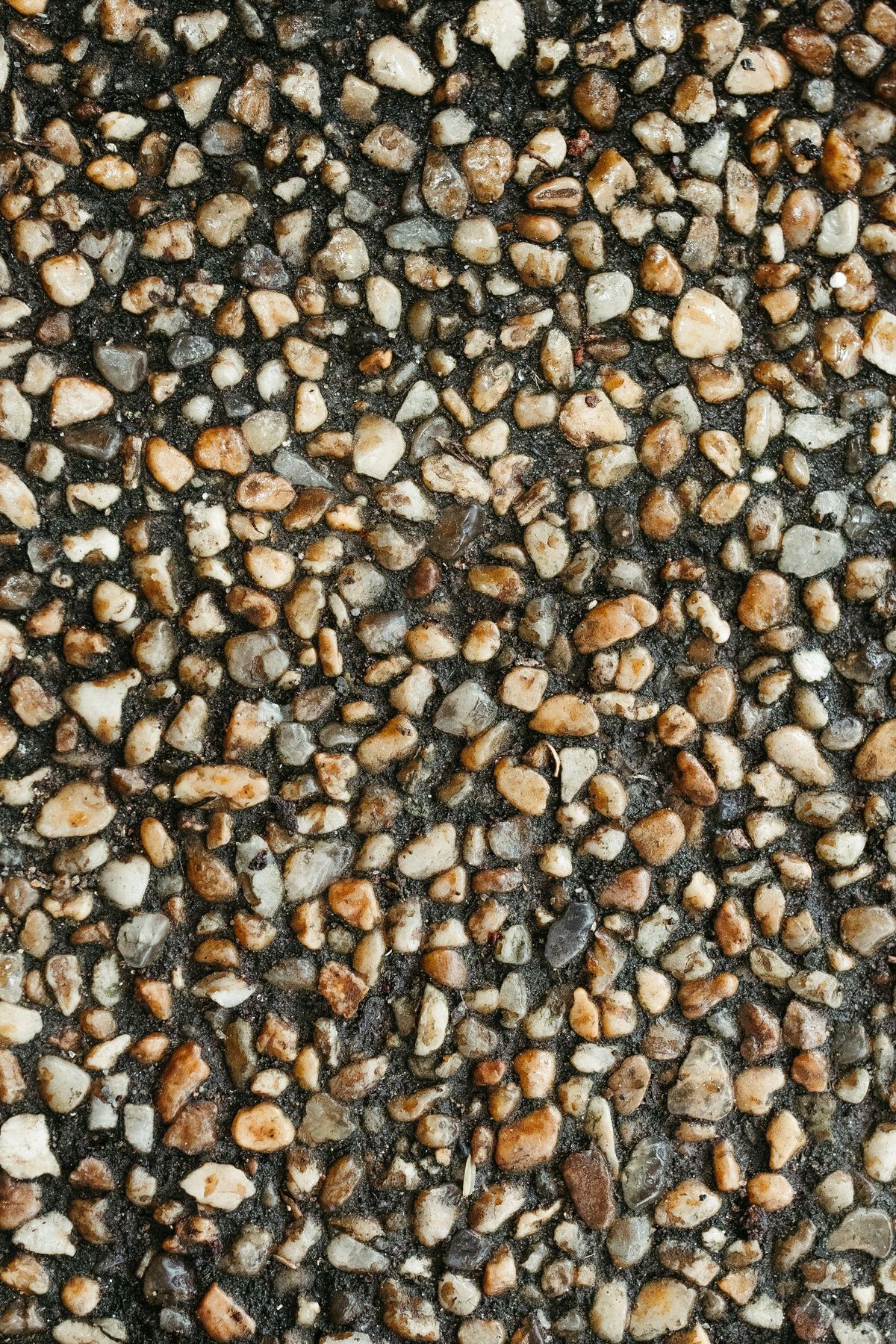 Dark pebble blend exposed aggregate over charcoal paste